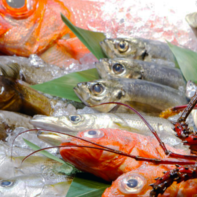南紀州の鮮魚