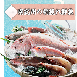 紀伊勝浦産の魚を使用。