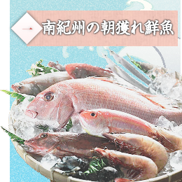 紀伊勝浦産の魚を使用。
